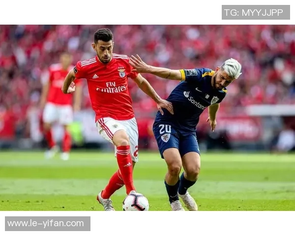 埃因霍温与阿尔克马历史交锋记录分析与战绩回顾