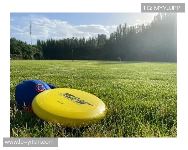 飞盘热潮席卷上海：探索飞盘队灵活性与战术变革之路MBA