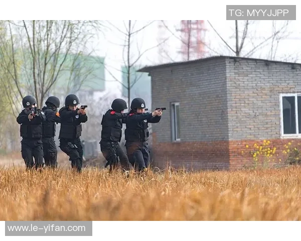 武汉街舞队包夹战术分析与表现评估探讨