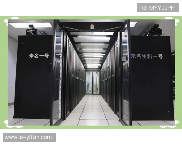 深圳篮球队的控制革新之路探索与未来展望