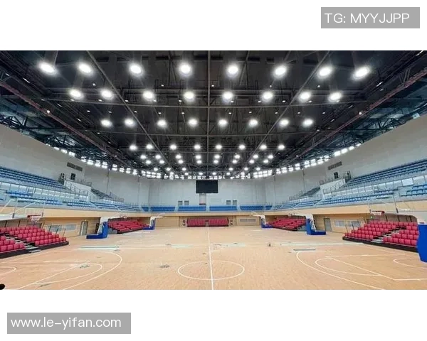 篮球明星在蹦床上的精彩表现引发热潮引领运动新风尚