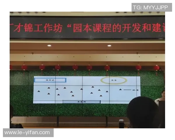 武汉排球队在锦标赛中的技术表现分析与点评