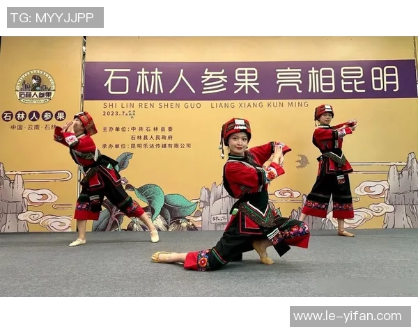 安养人参与仁川大象的奇妙对话与文化交融探秘